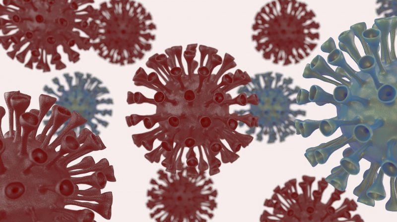 Koronavirus herättää kysymyksiä
